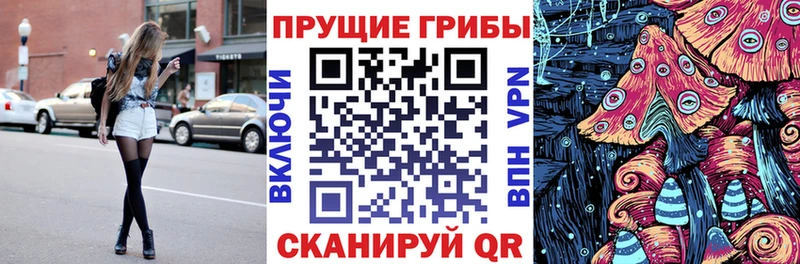 блэк спрут ссылка  где найти наркотики  Волжск  Псилоцибиновые грибы GOLDEN TEACHER 